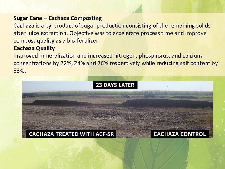 Sugar Cane – Cachaza Composting Cachaza is a by-product of sugar production consisting of