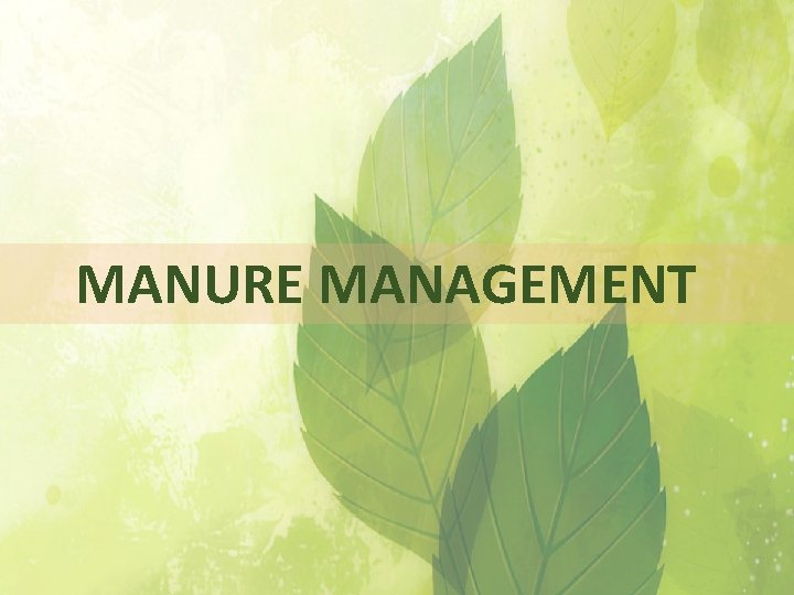  MANURE MANAGEMENT 