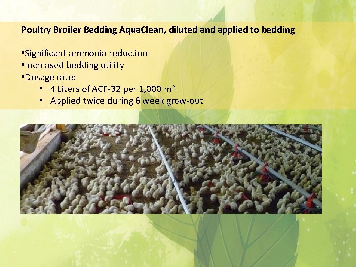 Poultry Broiler Bedding Aqua. Clean, diluted and applied to bedding • Significant ammonia reduction