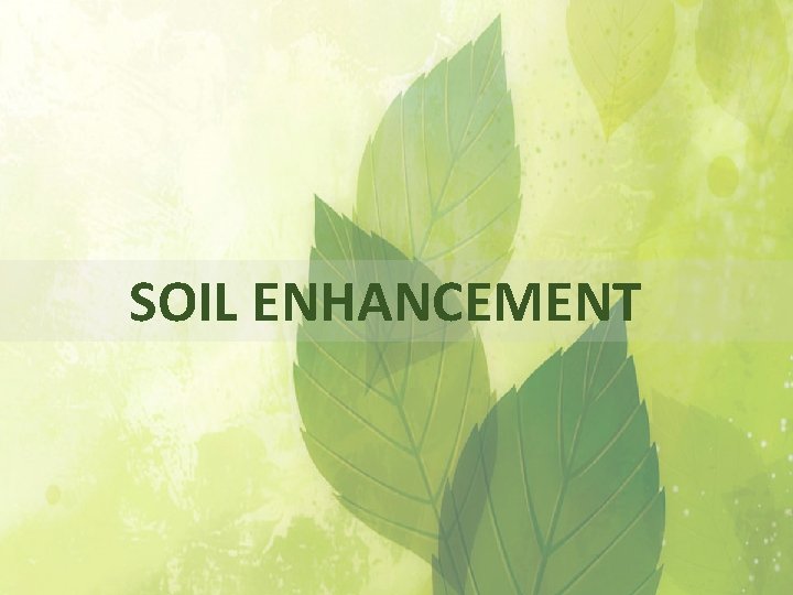  SOIL ENHANCEMENT 