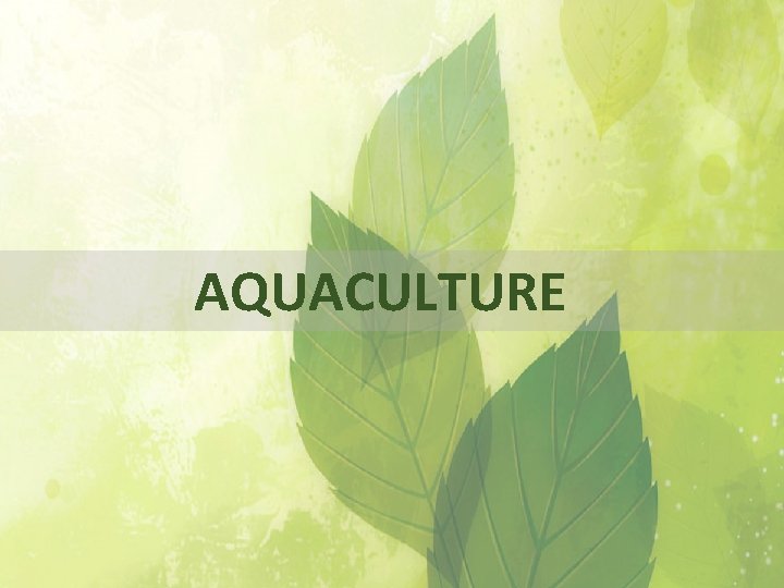  AQUACULTURE 