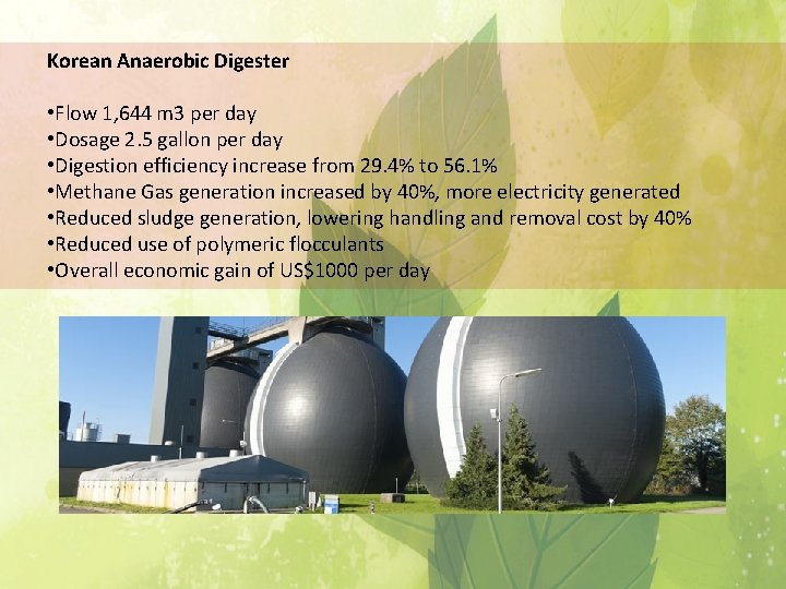 Korean Anaerobic Digester • Flow 1, 644 m 3 per day • Dosage 2.