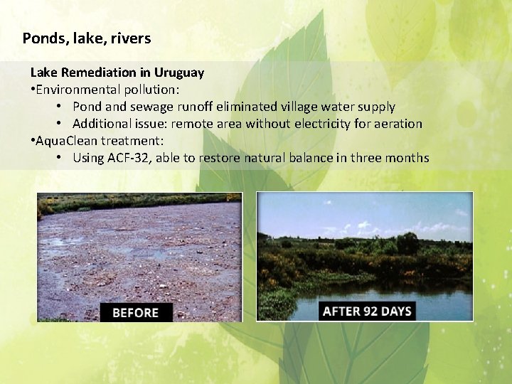 Ponds, lake, rivers Lake Remediation in Uruguay • Environmental pollution: • Pond and sewage