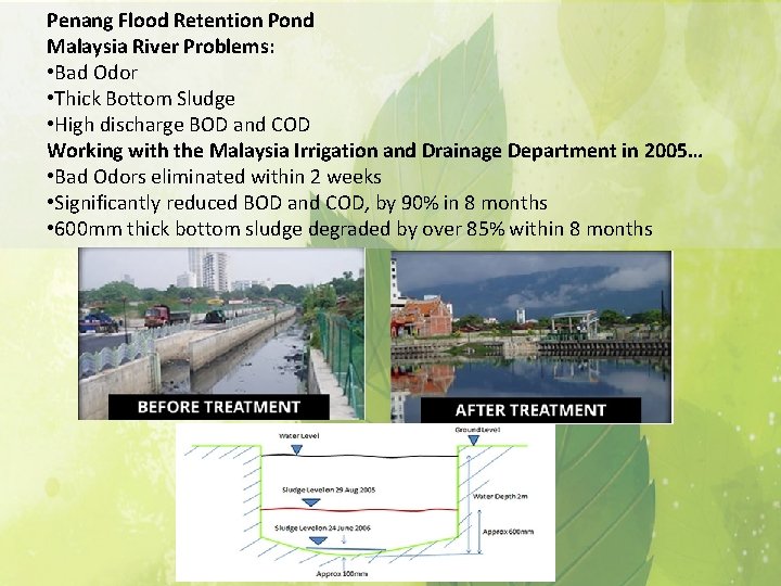 Penang Flood Retention Pond Malaysia River Problems: • Bad Odor • Thick Bottom Sludge
