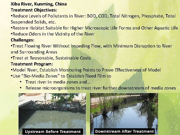 Xiba River, Kunming, China Treatment Objectives: • Reduce Levels of Pollutants in River: BOD,
