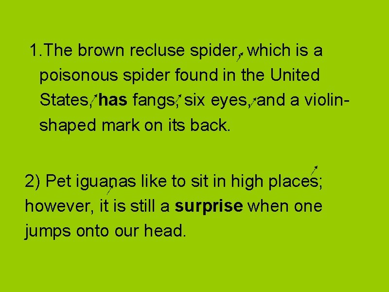 1. The brown recluse spider, which is a poisonous spider found in the United