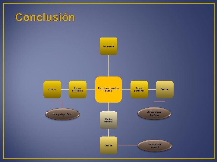 Conclusión Antropología Qué es Su ser biológico Estudia al hombre desde Su ser personal