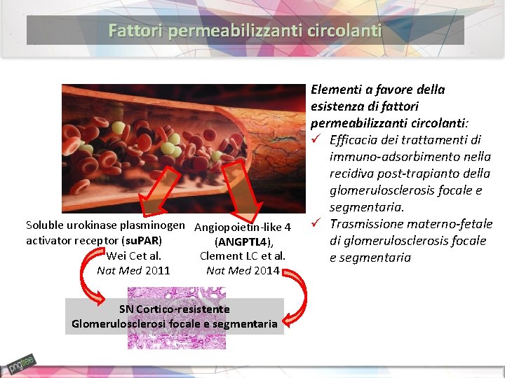 Fattori permeabilizzanti circolanti Soluble urokinase plasminogen Angiopoietin-like 4 activator receptor (su. PAR) (ANGPTL 4),