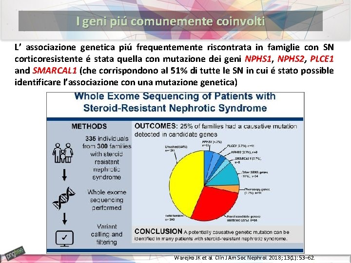 I geni piú comunemente coinvolti L’ associazione genetica piú frequentemente riscontrata in famiglie con