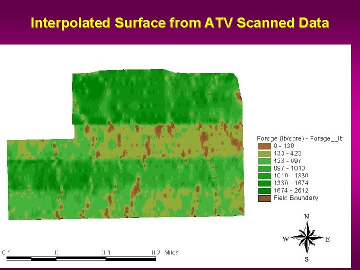 Interpolated Surface from ATV Scanned Data 