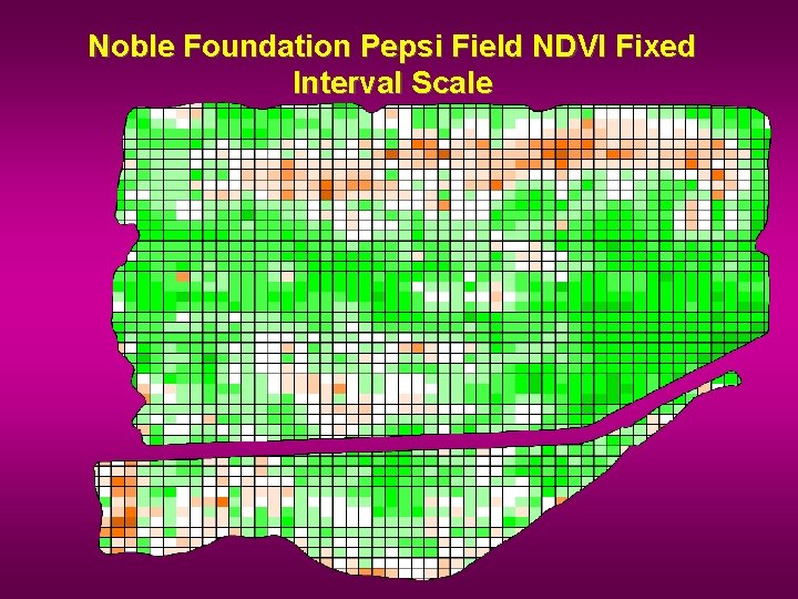 Noble Foundation Pepsi Field NDVI Fixed Interval Scale 