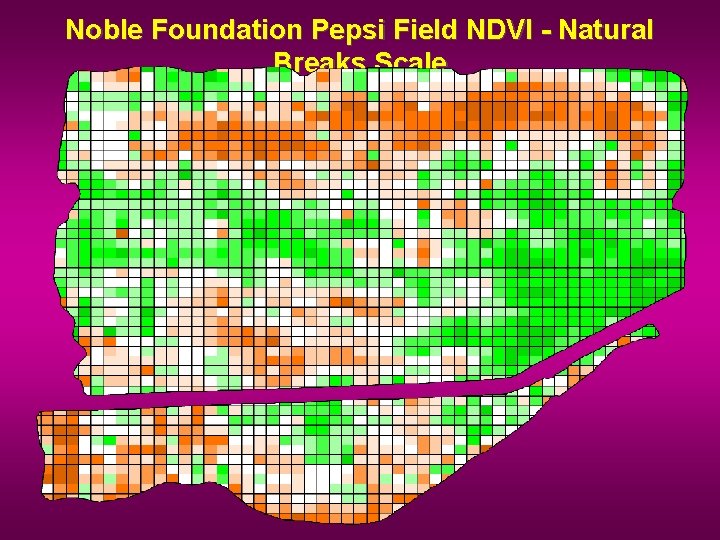 Noble Foundation Pepsi Field NDVI - Natural Breaks Scale 