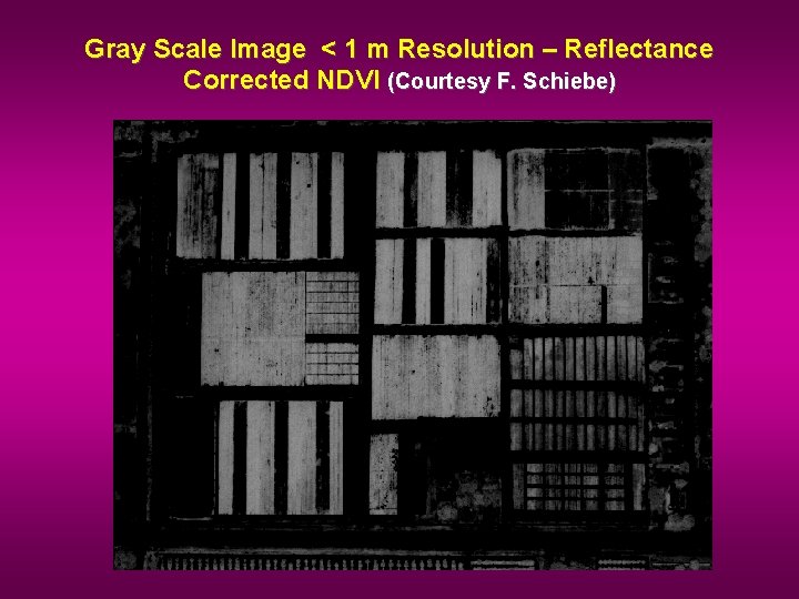 Gray Scale Image < 1 m Resolution – Reflectance Corrected NDVI (Courtesy F. Schiebe)