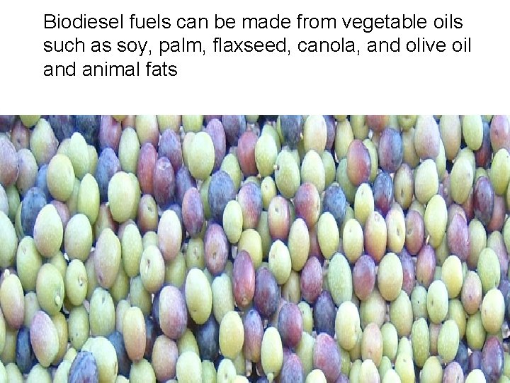 Biodiesel fuels can be made from vegetable oils such as soy, palm, flaxseed, canola,