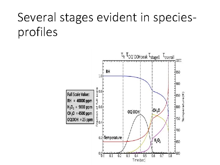 Several stages evident in speciesprofiles 