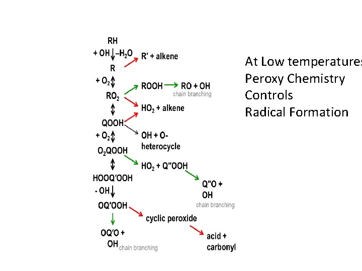 At Low temperatures Peroxy Chemistry Controls Radical Formation 