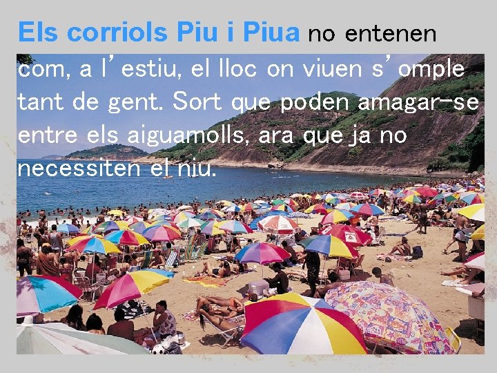 Els corriols Piu i Piua no entenen com, a l’estiu, el lloc on viuen