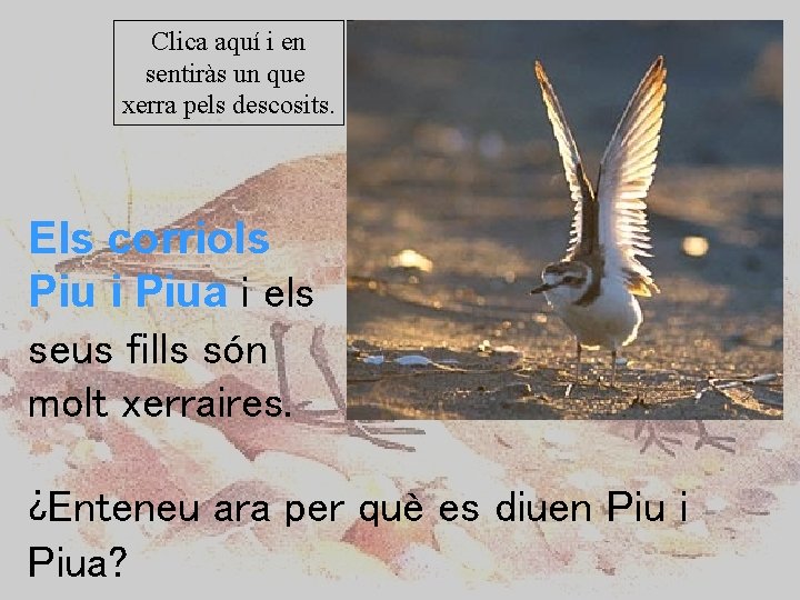 Clica aquí i en sentiràs un que xerra pels descosits. Els corriols Piu i