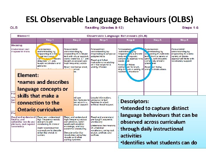 ESL Observable Language Behaviours (OLBS) Element: • names and describes language concepts or skills
