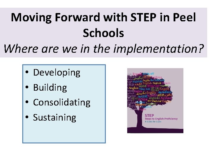 Moving Forward with STEP in Peel Schools Where are we in the implementation? • Moving Forward with STEP in Peel Schools Where are we in the implementation? •