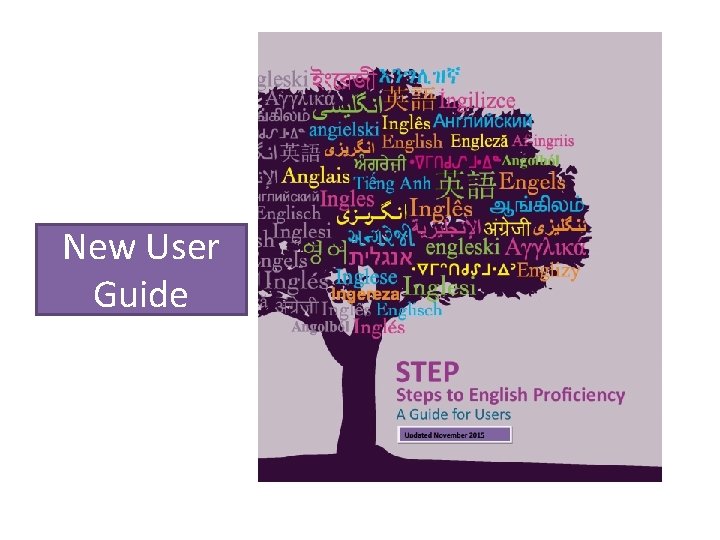New User Guide New User Guide