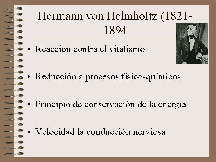 Hermann von Helmholtz (18211894 • Reacción contra el vitalismo • Reducción a procesos físico-químicos