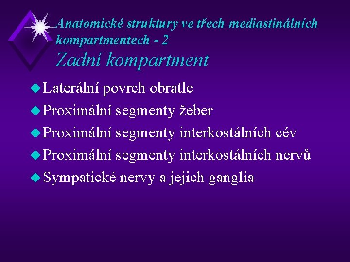 Anatomické struktury ve třech mediastinálních kompartmentech - 2 Zadní kompartment u Laterální povrch obratle