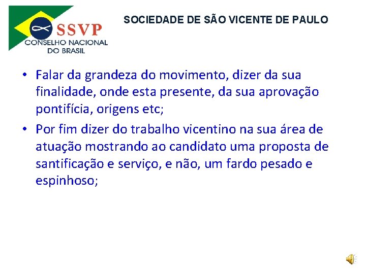 SOCIEDADE DE SÃO VICENTE DE PAULO • Falar da grandeza do movimento, dizer da