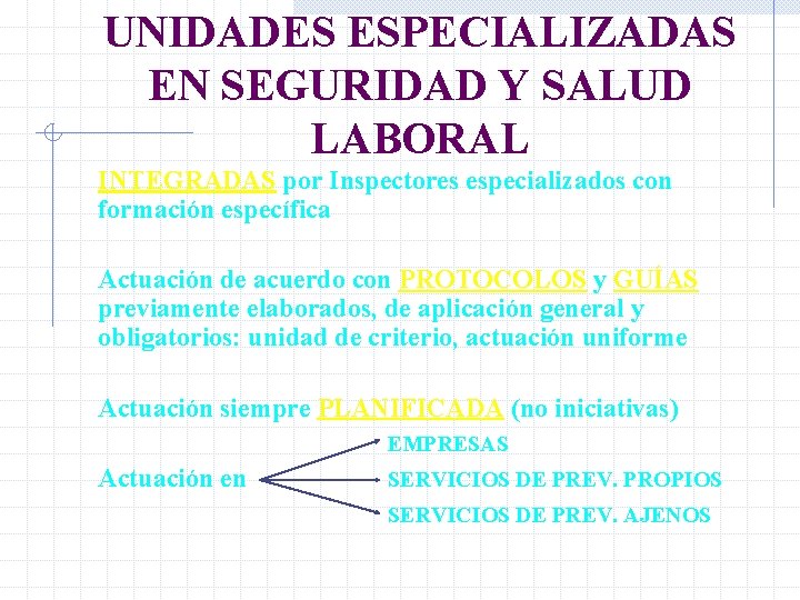 UNIDADES ESPECIALIZADAS EN SEGURIDAD Y SALUD LABORAL INTEGRADAS por Inspectores especializados con formación específica