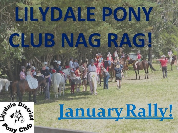 LILYDALE PONY CLUB NAG RAG! January Rally! 