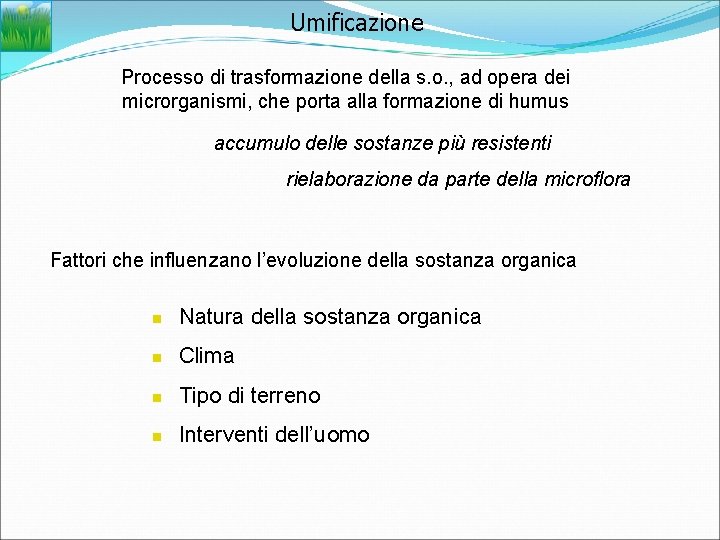 Umificazione Processo di trasformazione della s. o. , ad opera dei microrganismi, che porta