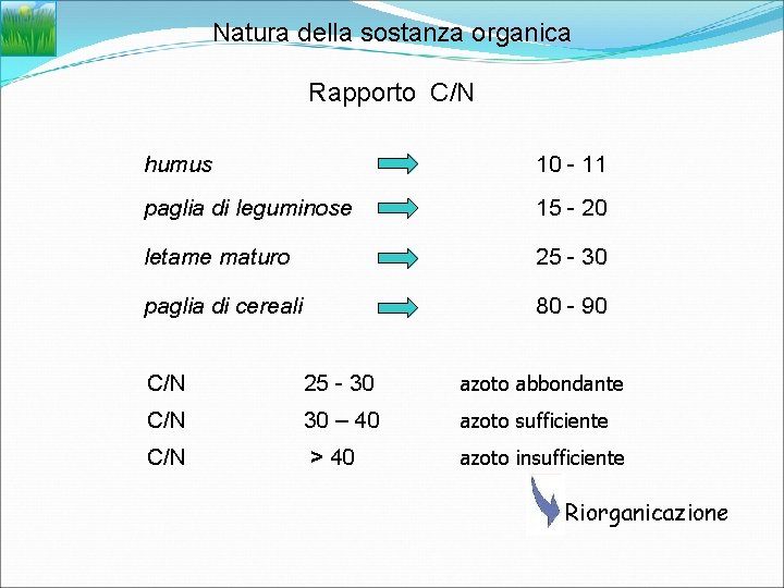 Natura della sostanza organica Rapporto C/N humus 10 - 11 paglia di leguminose 15