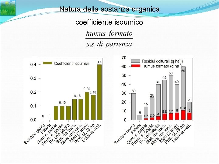 Natura della sostanza organica coefficiente isoumico 