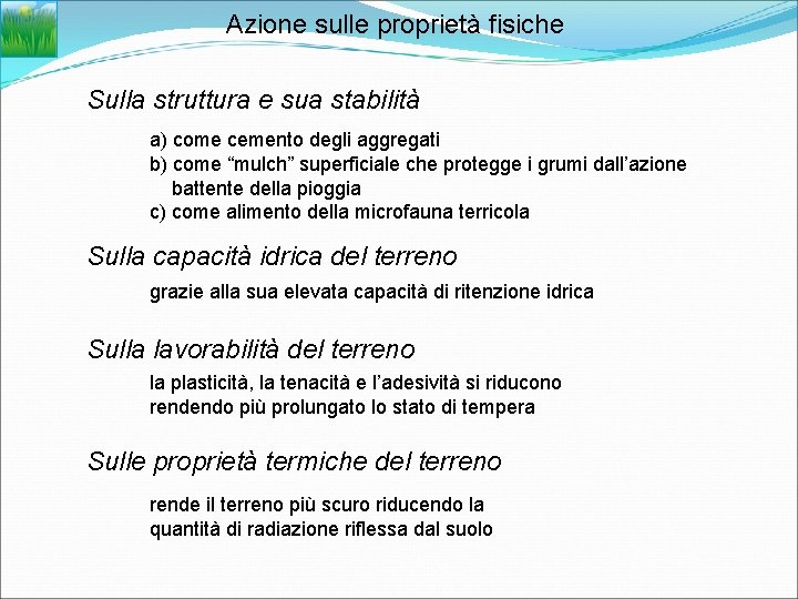 Azione sulle proprietà fisiche Sulla struttura e sua stabilità a) come cemento degli aggregati