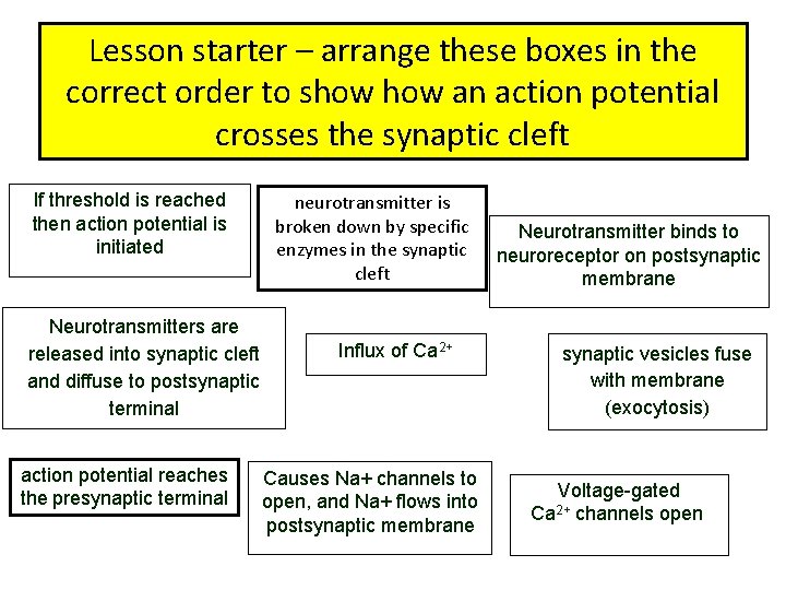 Lesson starter – arrange these boxes in the correct order to show an action
