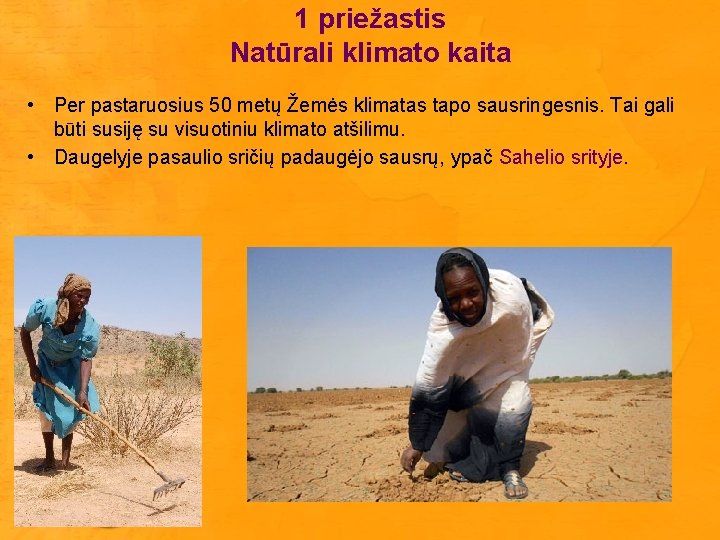 1 priežastis Natūrali klimato kaita • Per pastaruosius 50 metų Žemės klimatas tapo sausringesnis.