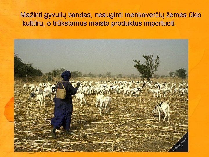 Mažinti gyvulių bandas, neauginti menkaverčių žemės ūkio kultūrų, o trūkstamus maisto produktus importuoti. 