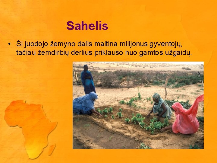 Sahelis • Ši juodojo žemyno dalis maitina milijonus gyventojų, tačiau žemdirbių derlius priklauso nuo