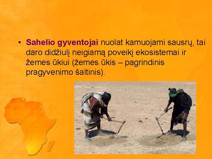  • Sahelio gyventojai nuolat kamuojami sausrų, tai daro didžiulį neigiamą poveikį ekosistemai ir