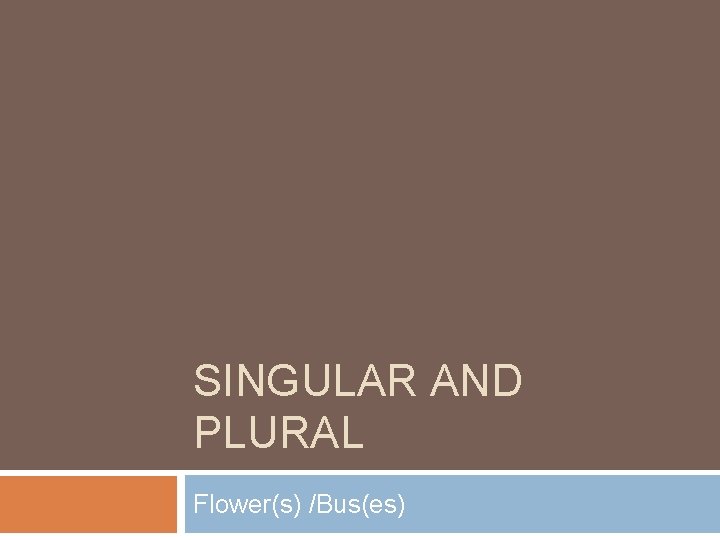 SINGULAR AND PLURAL Flower(s) /Bus(es) 