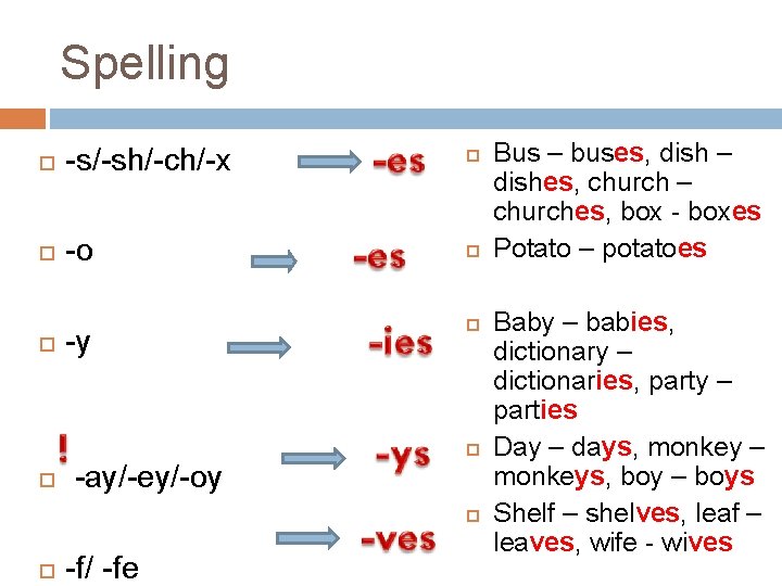 Spelling -s/-sh/-ch/-x -o -y -ay/-ey/-oy -f/ -fe Bus – buses, dish – dishes, church