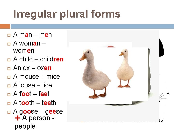 Irregular plural forms A man – men A woman – women A child –