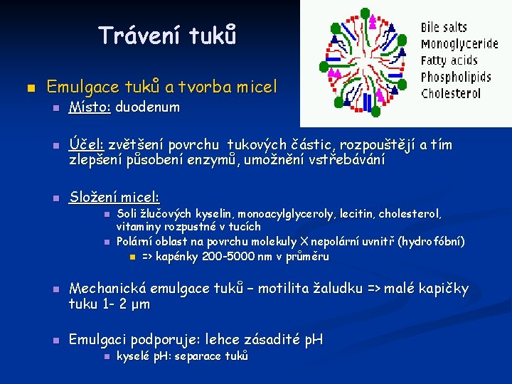 Trávení tuků n Emulgace tuků a tvorba micel n n n Místo: duodenum Účel: