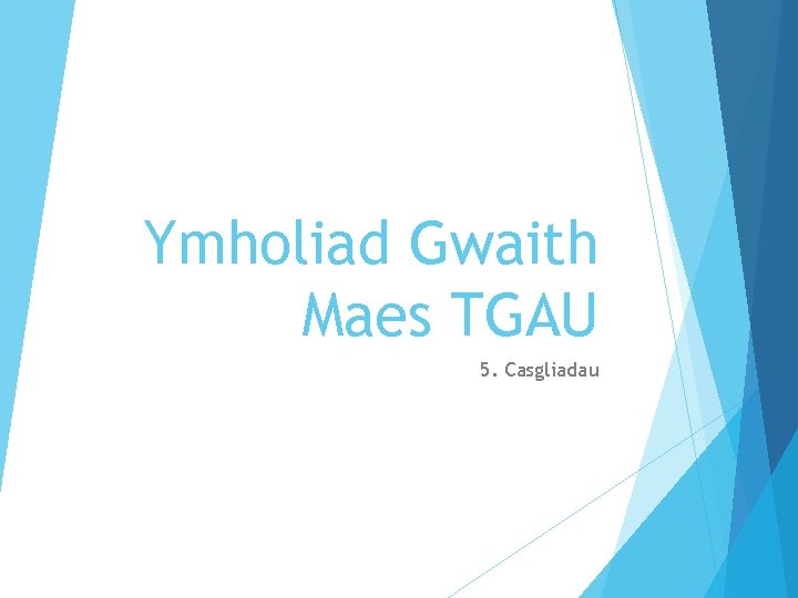 Ymholiad Gwaith Maes TGAU 5. Casgliadau 