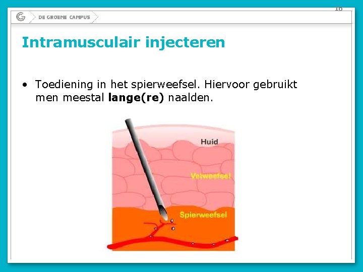 16 Intramusculair injecteren • Toediening in het spierweefsel. Hiervoor gebruikt men meestal lange(re) naalden.