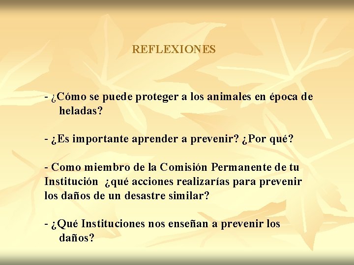 REFLEXIONES - ¿Cómo se puede proteger a los animales en época de heladas? -