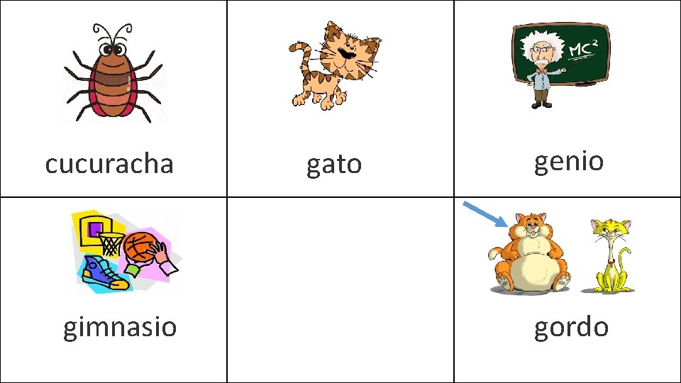  gimnasio genio gato cucuracha gordo 