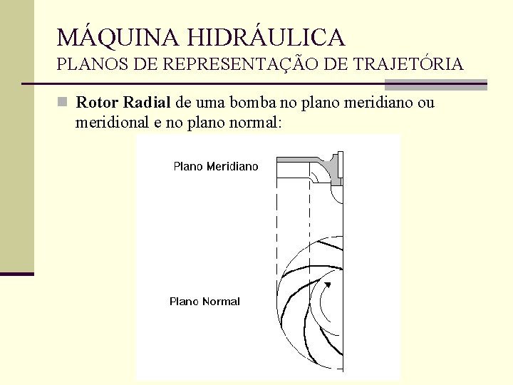 MÁQUINA HIDRÁULICA PLANOS DE REPRESENTAÇÃO DE TRAJETÓRIA n Rotor Radial de uma bomba no