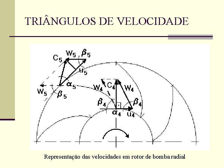TRI NGULOS DE VELOCIDADE Representação das velocidades em rotor de bomba radial TRI NGULOS DE VELOCIDADE Representação das velocidades em rotor de bomba radial