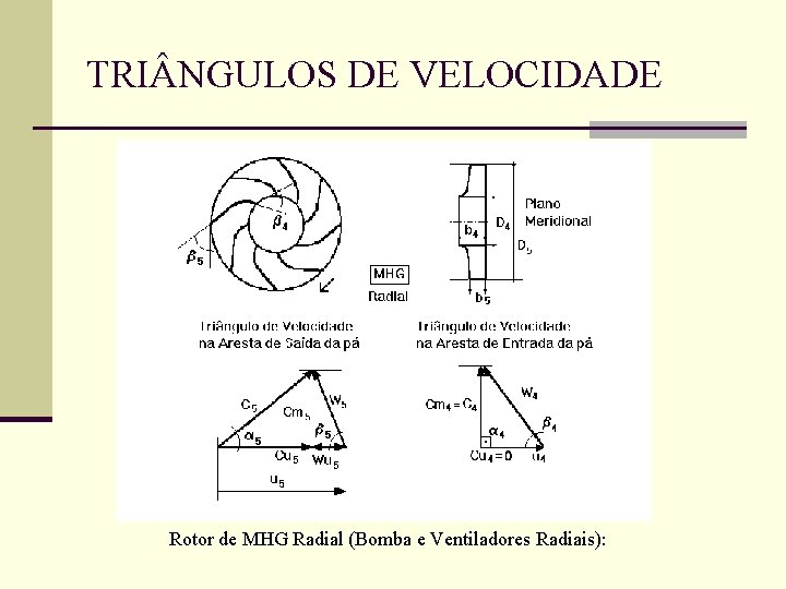 TRI NGULOS DE VELOCIDADE Rotor de MHG Radial (Bomba e Ventiladores Radiais): 